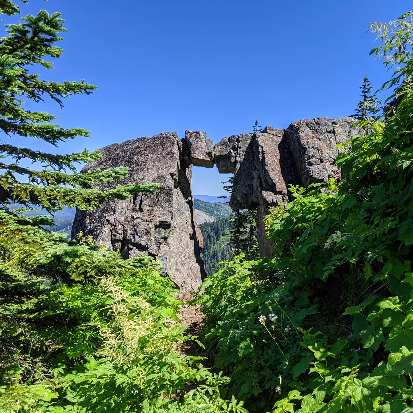 Gateway to adventure! #hikers #pacificnorthwanderers #pnw #wandermorewa #SilverStarMountain⛰️ #Edstrail