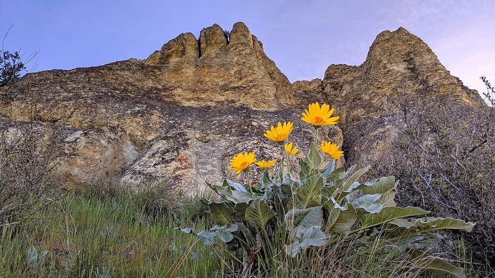 &quot;Hiking to Saddle Rock&quot; is the title of our latest blog post. Check it out and let us know what you think. Link in bio.
#pnw #saddlerock #wenatchee #hiking #nature