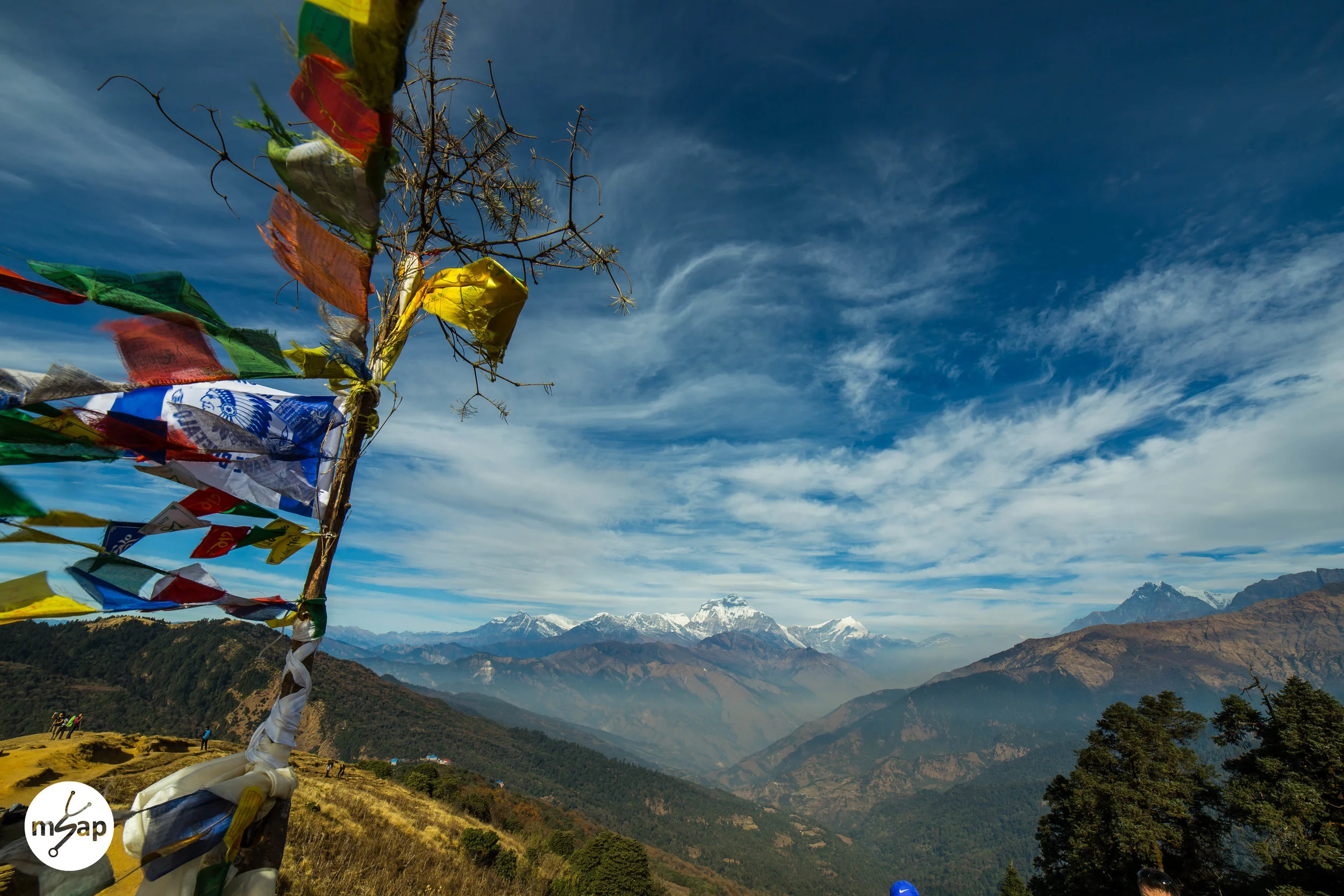 Prayer Flags - Brenda Ta