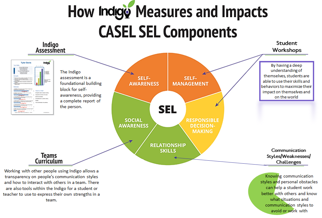 CASEL-Indigo.png