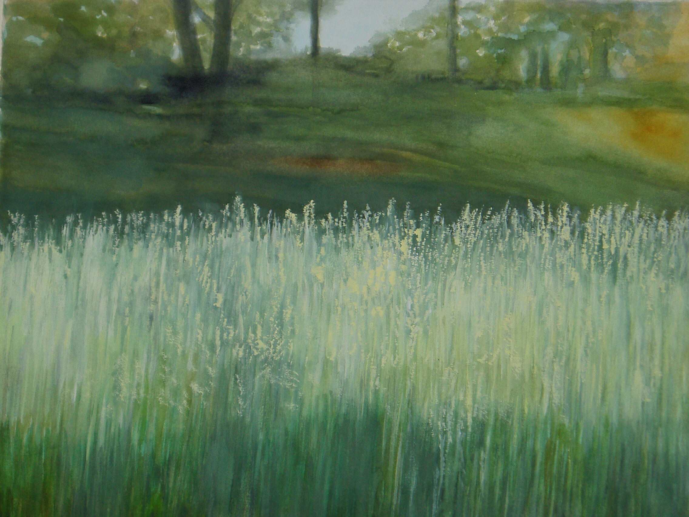 Summer Grass