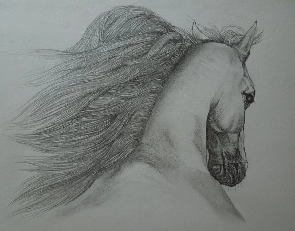 DSCN0586 (FILEminimizer).JPG