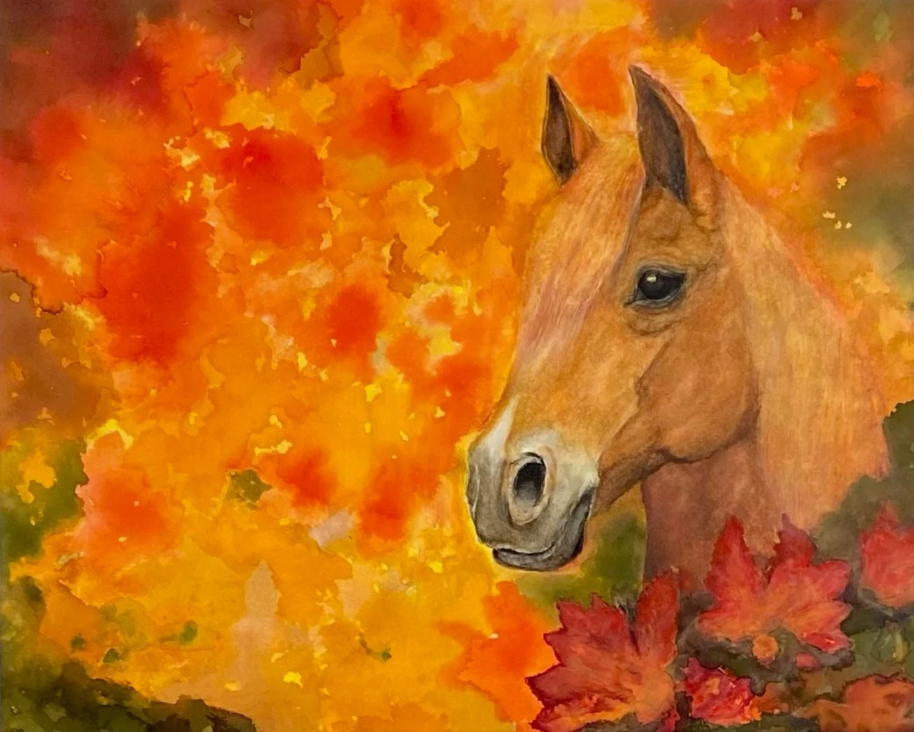 Pony Dreaming