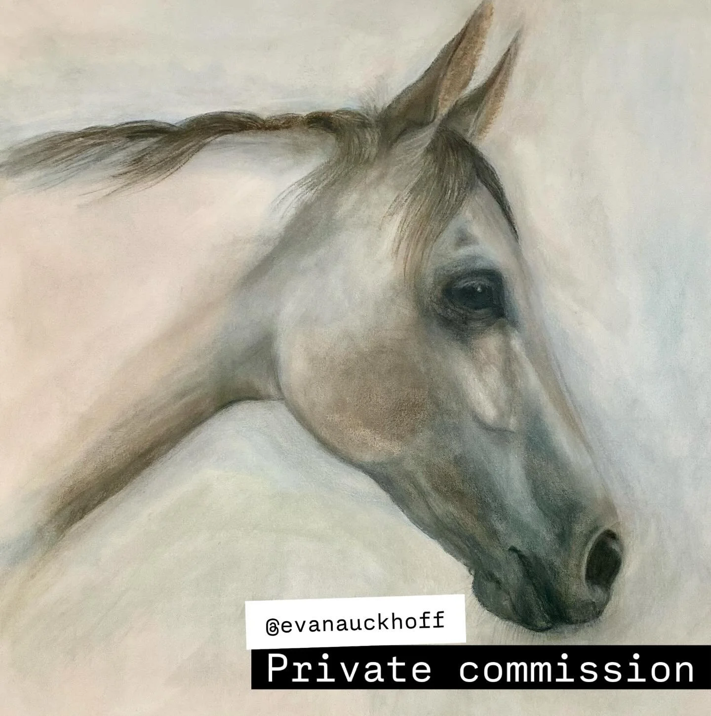 Private commission for a dear friend 🖤 Commission inquiries welcome