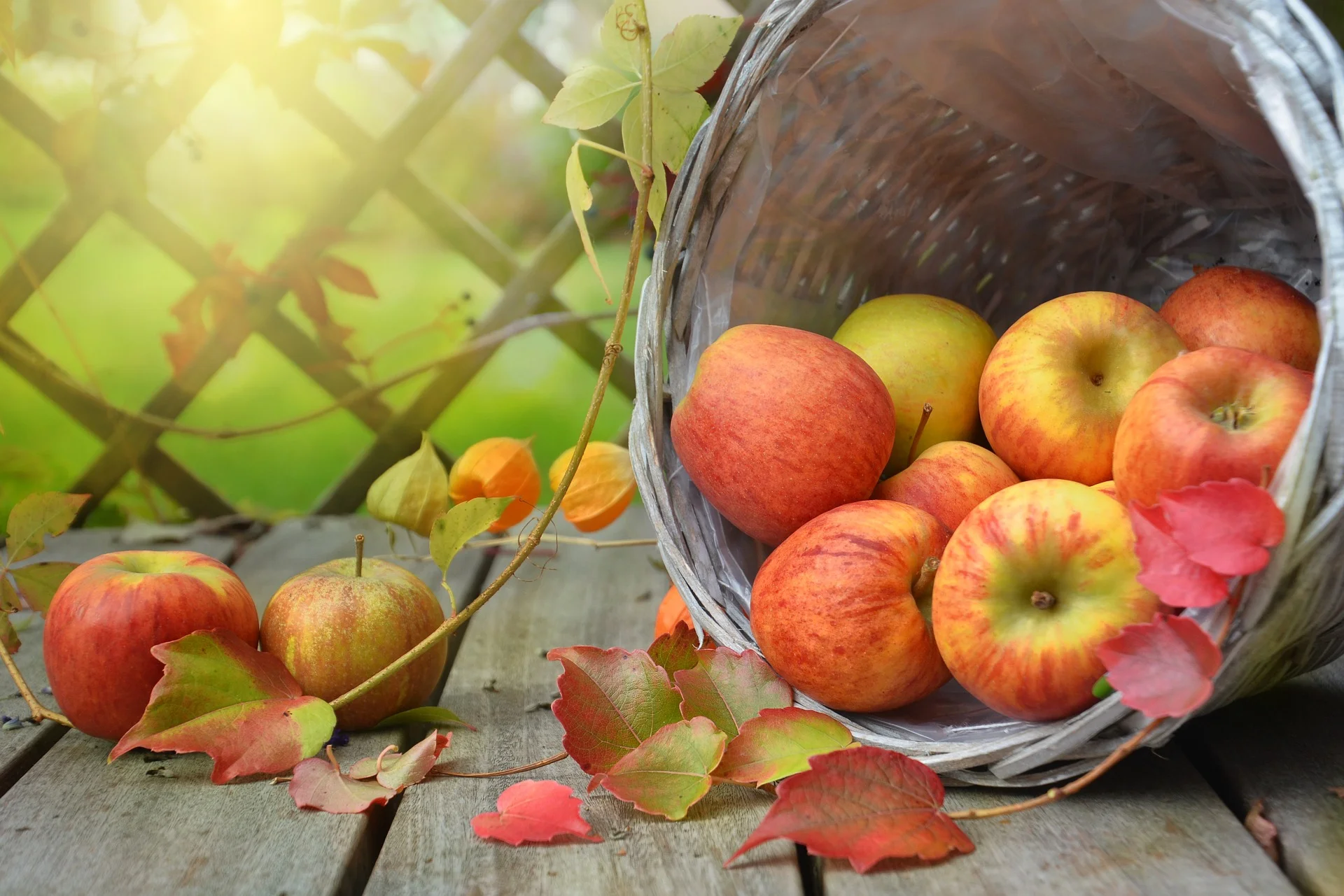 apples harvest party.jpg