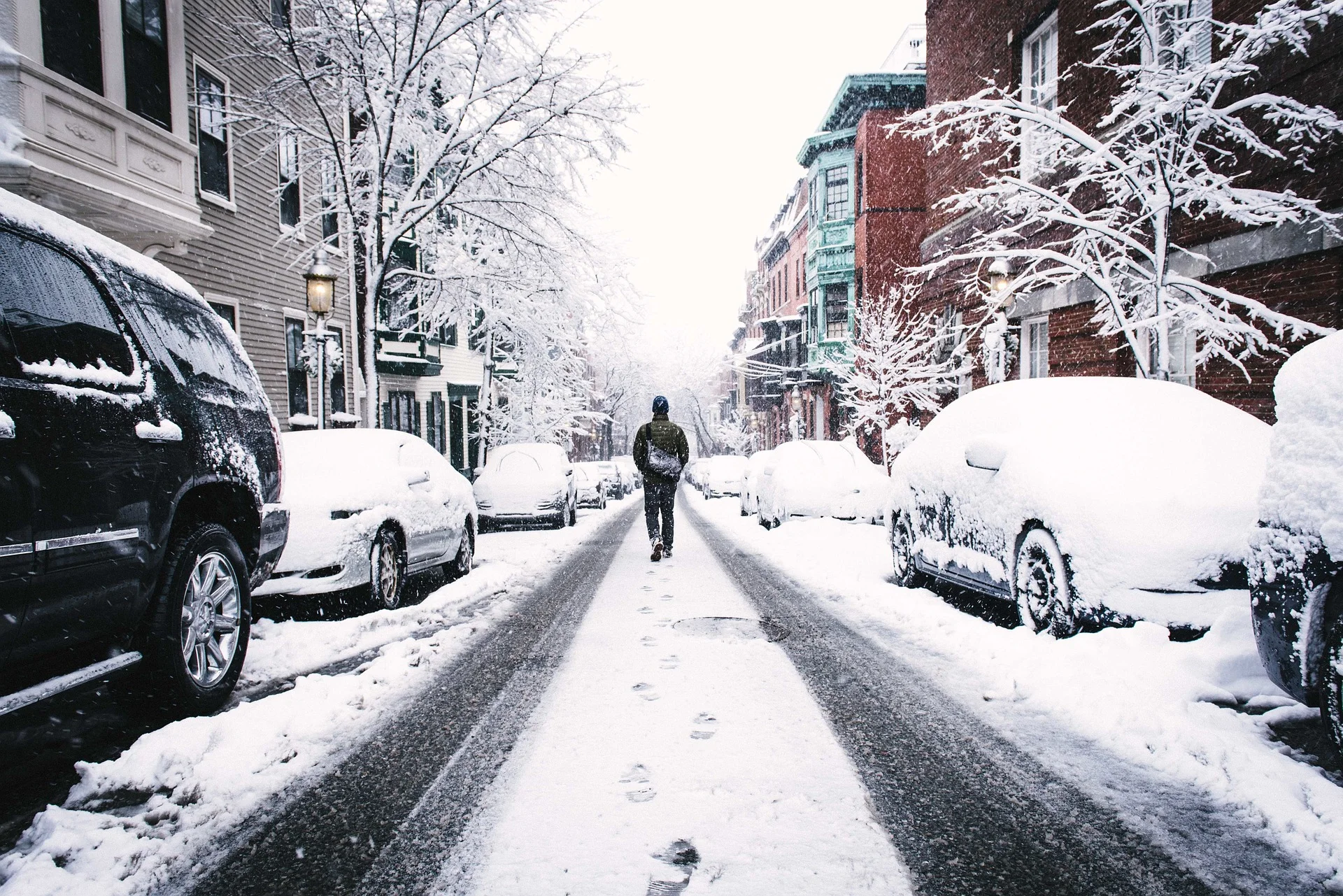 Snow and parked cars.jpg
