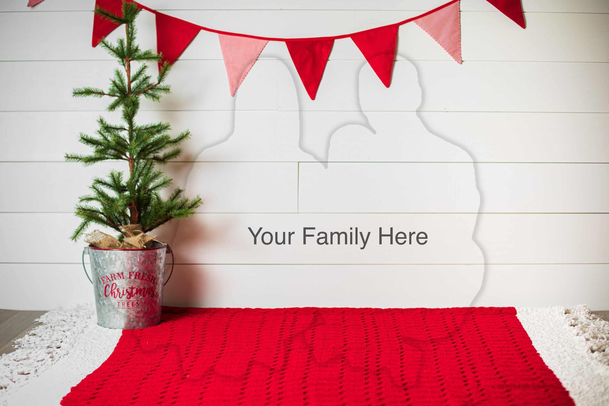 Christmas Mini Shoot Your Family Here.jpg