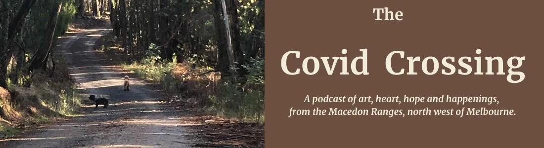 Covid Crossing webpage header.jpg