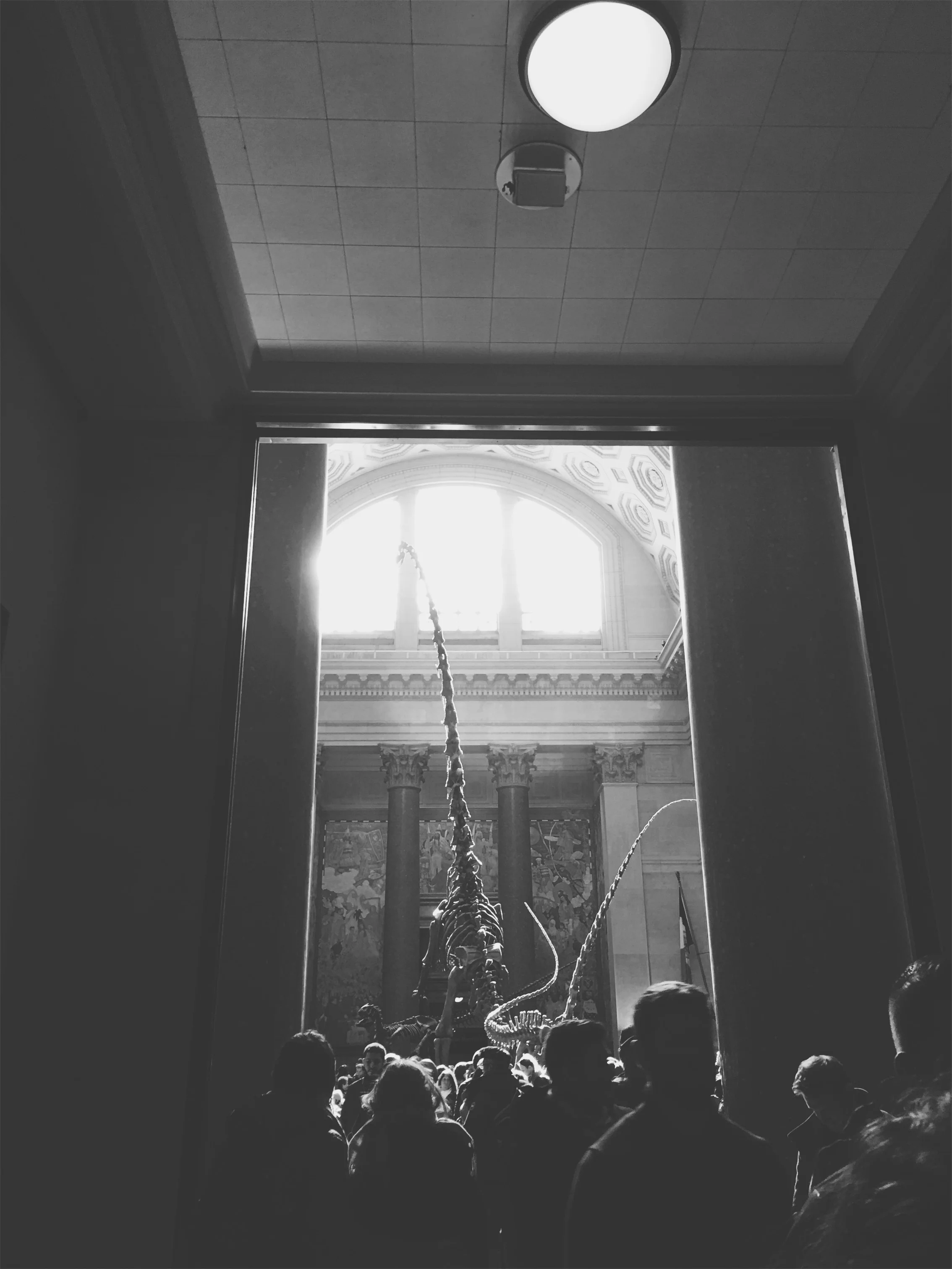 VSCO Cam-38.jpg