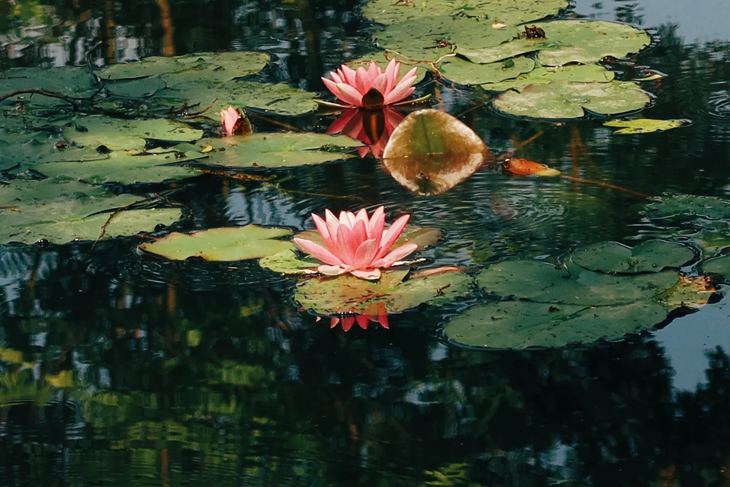 Gallery Photos-3.jpg