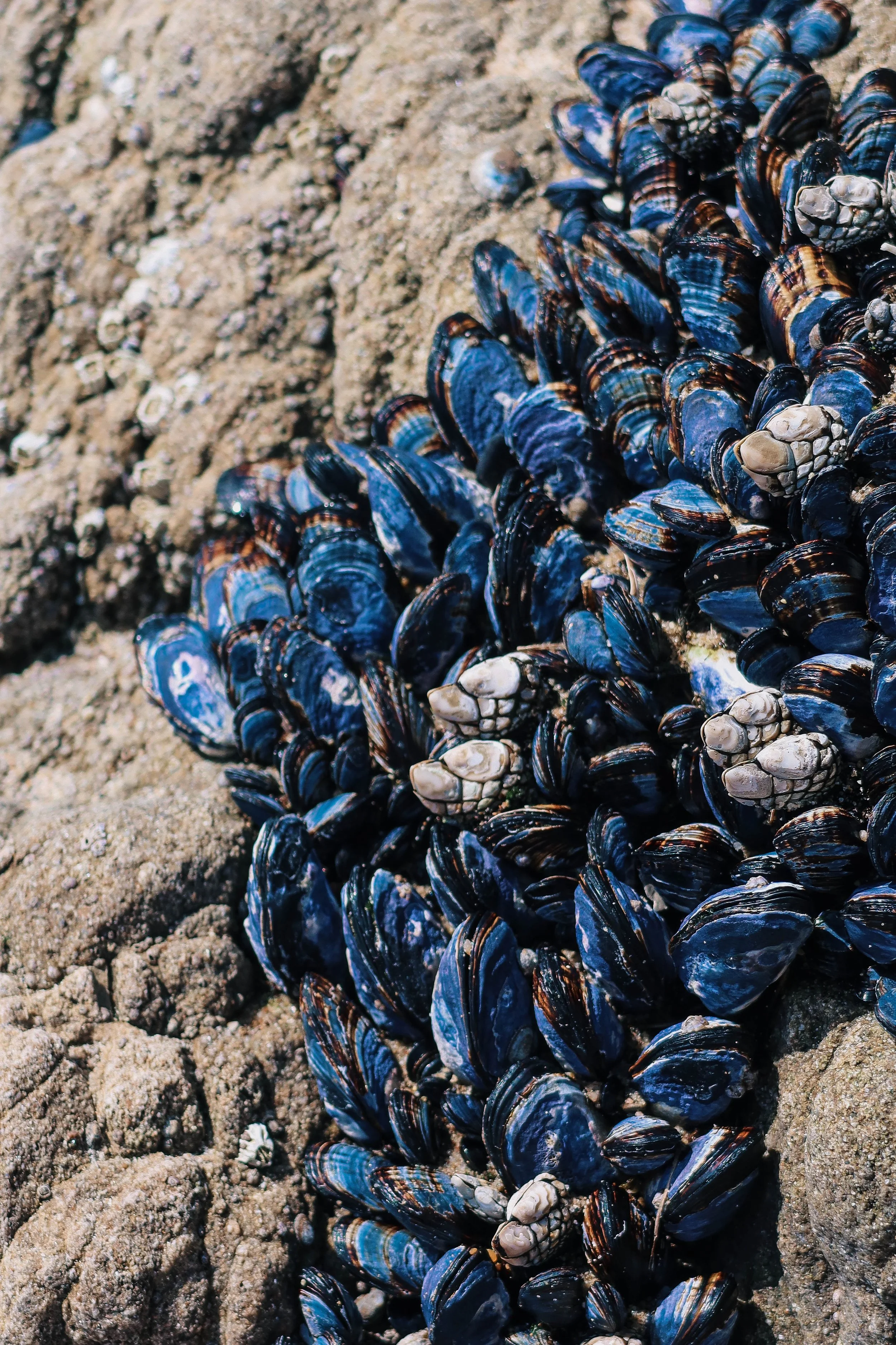 Gallery Photos-2.jpg