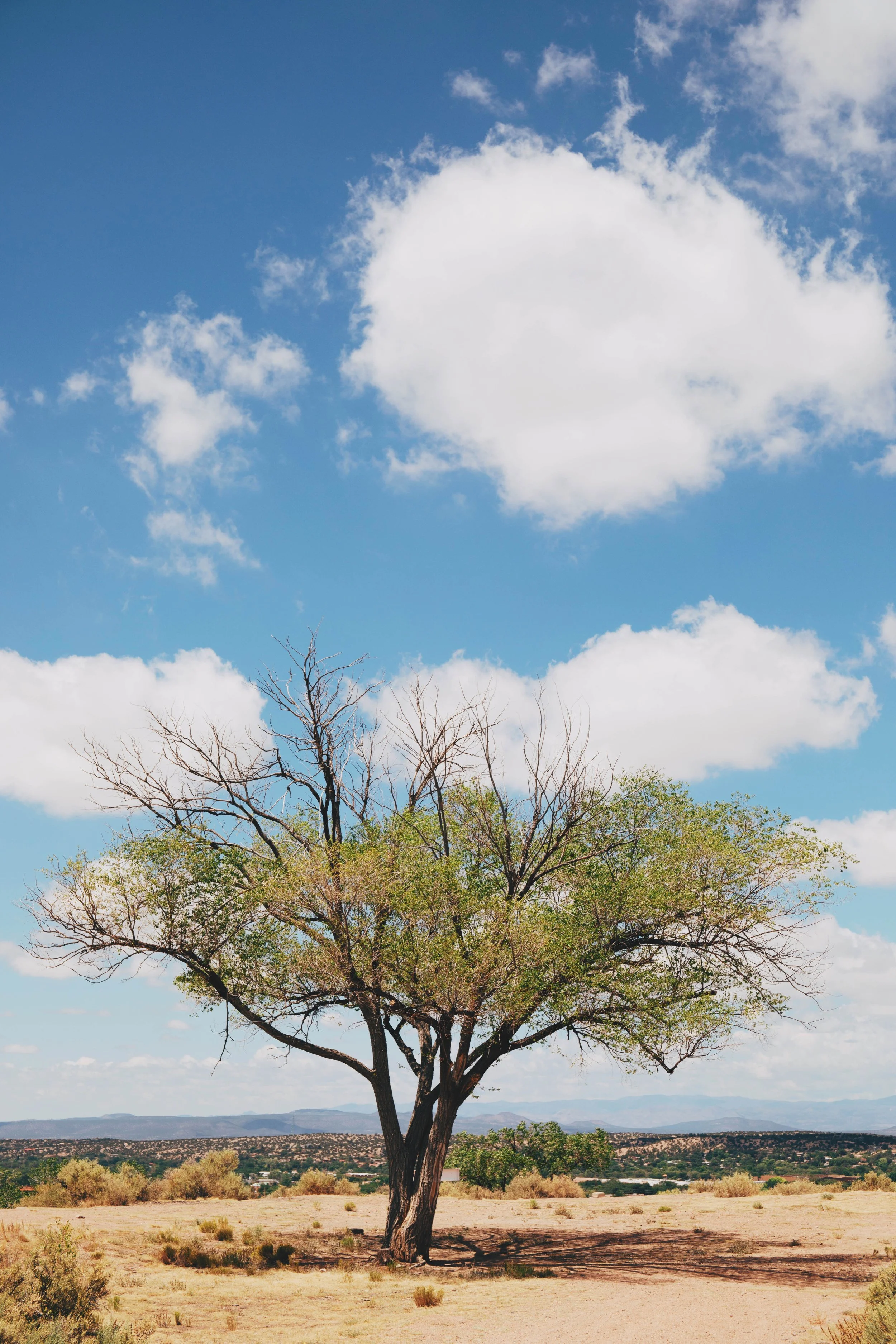 Gallery Photos-5.jpg