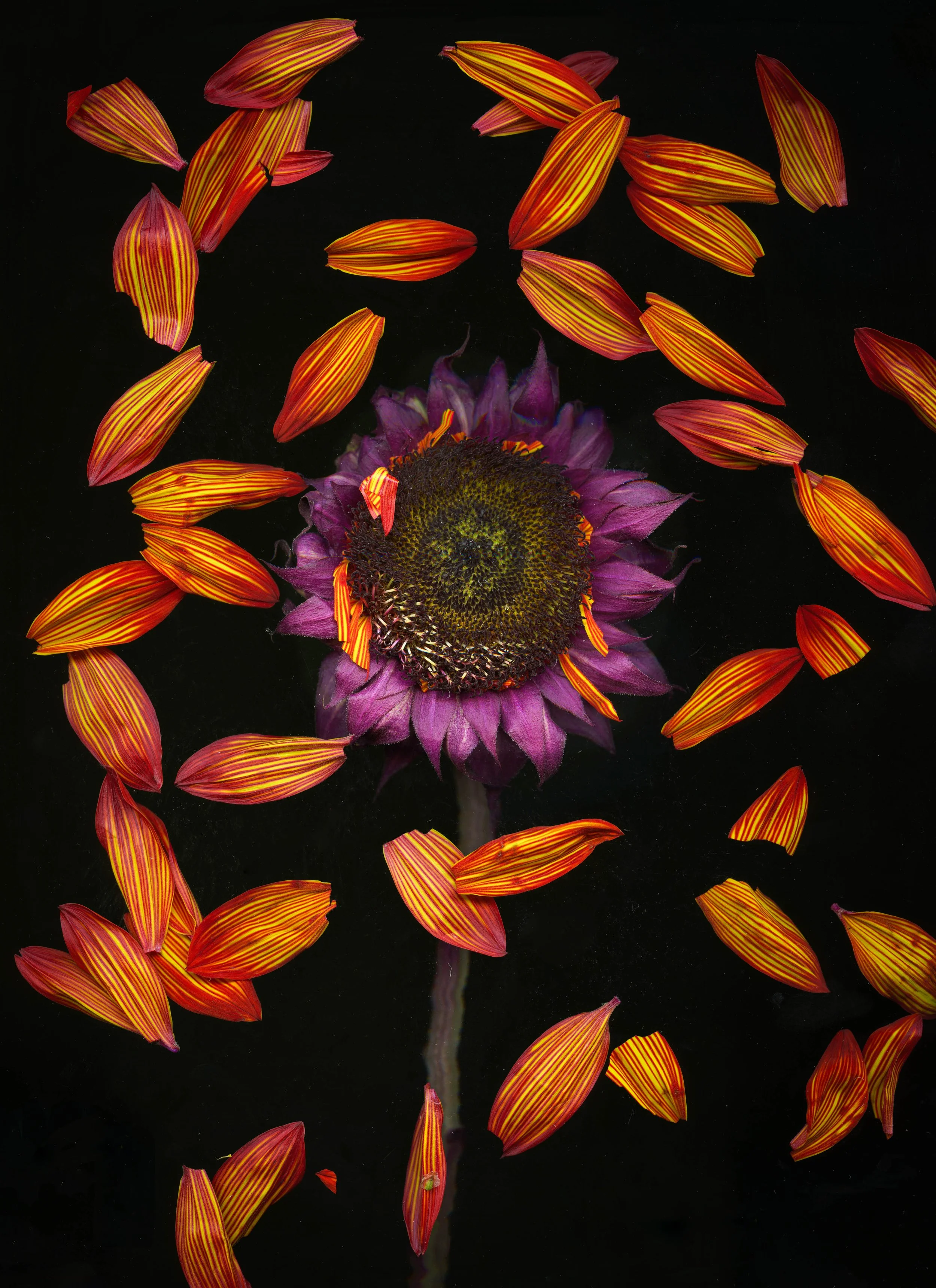 Gallery Photos-10.jpg