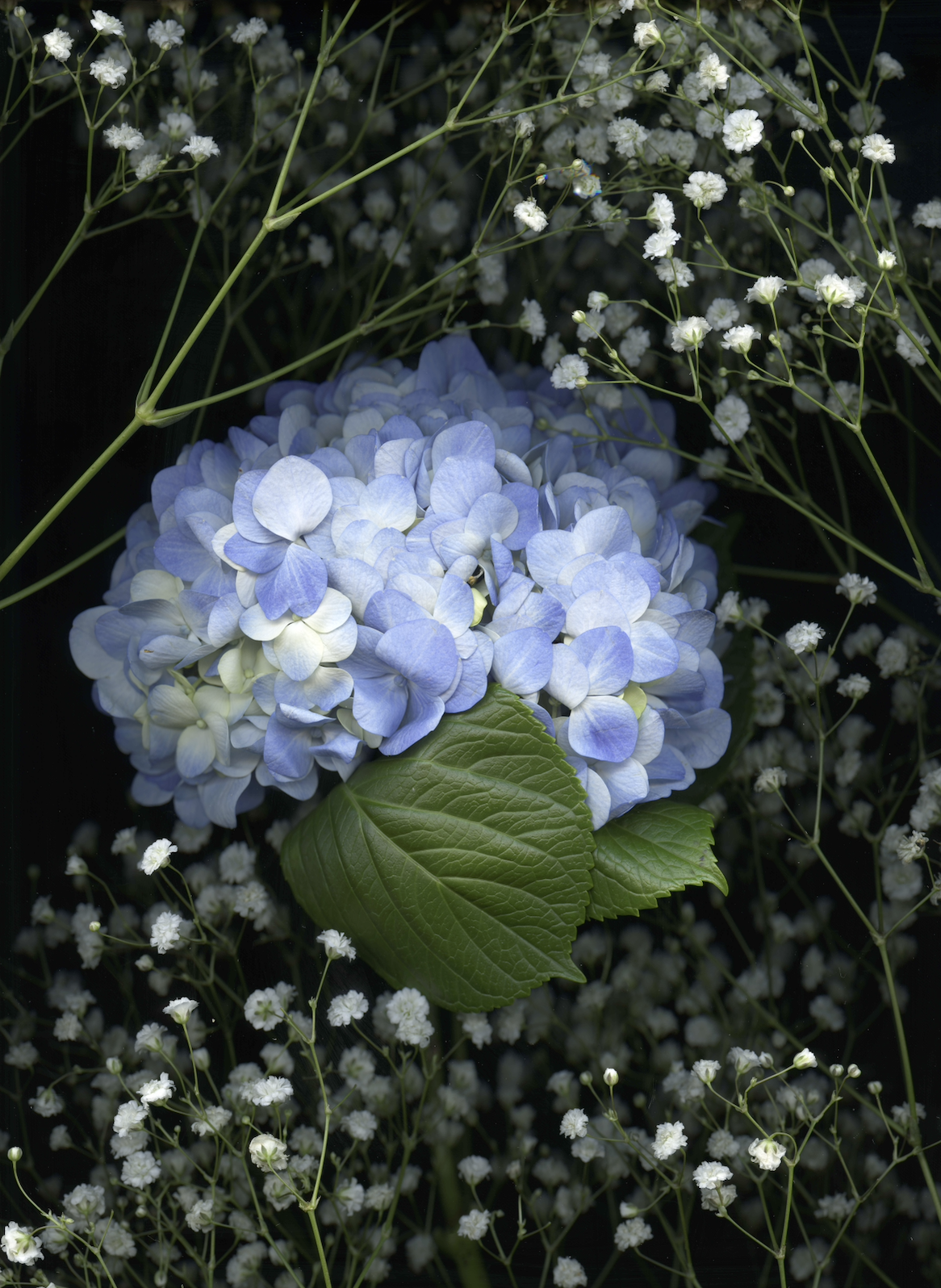 Screenshot 2026-03-26 at 12.06.21 AM.png