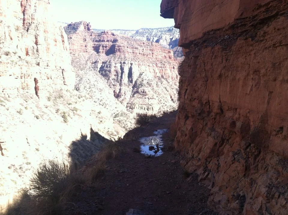 Trail from the North Rim of the Grand Canyon to Bright Angel Campground. Photo by Elyria Little, 2015.&nbsp;
