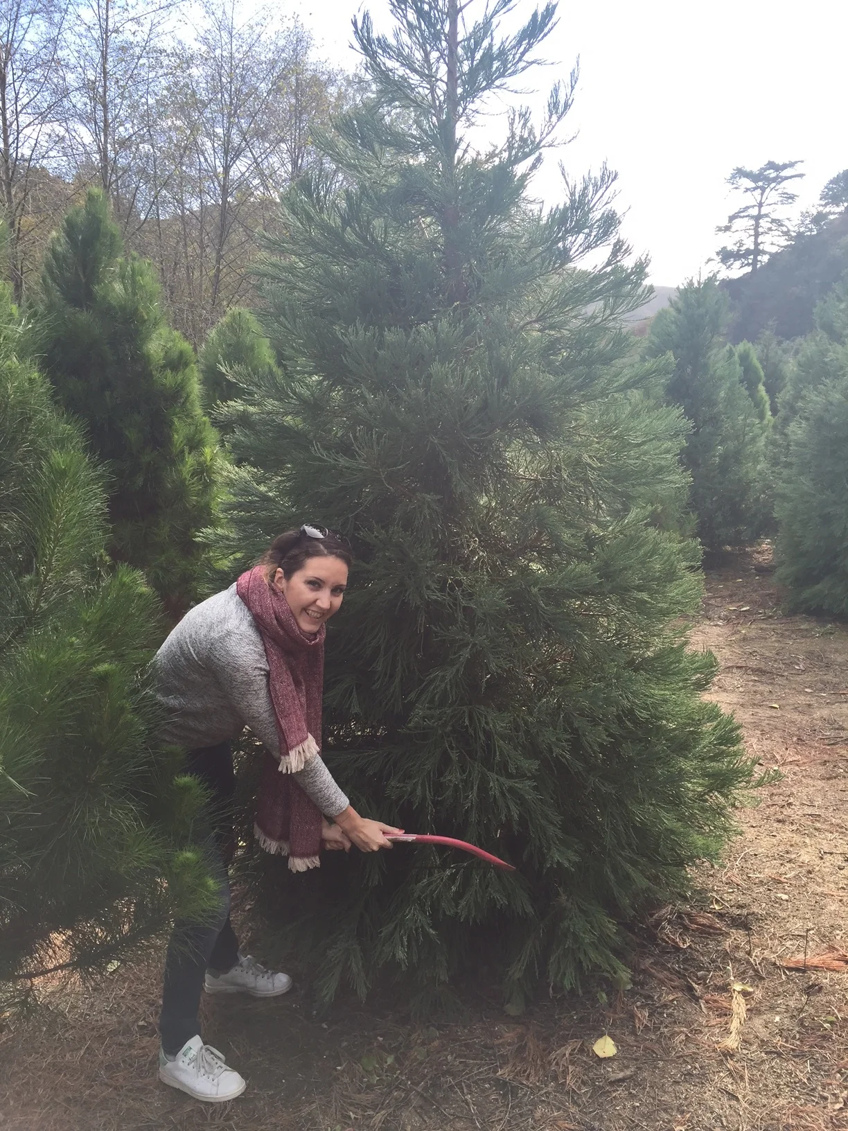 Christmas Tree ! #X-Mas