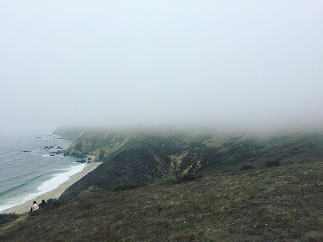 Point Reyes - foggy day 🍃🌫