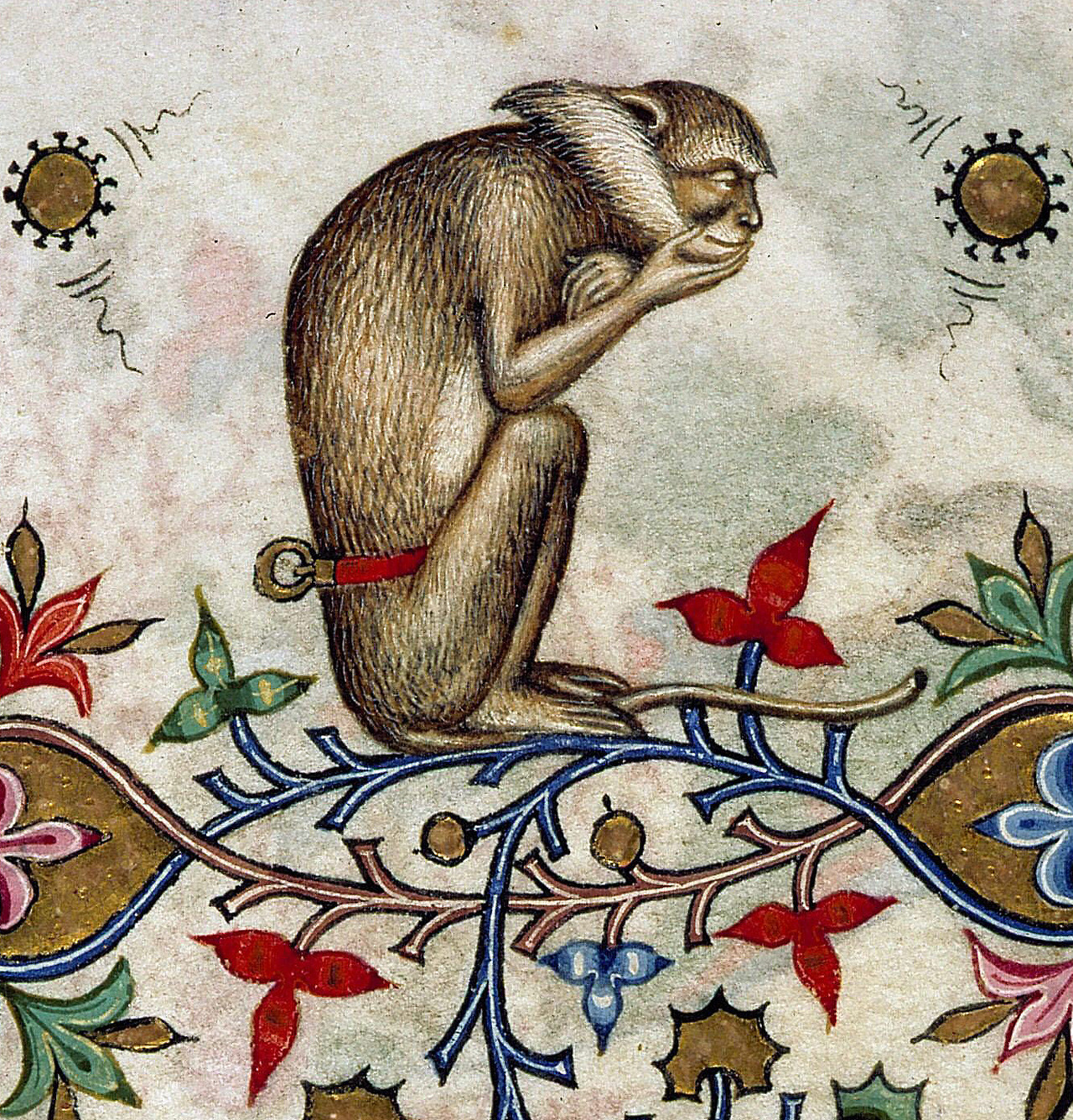 thinking monkey.jpg