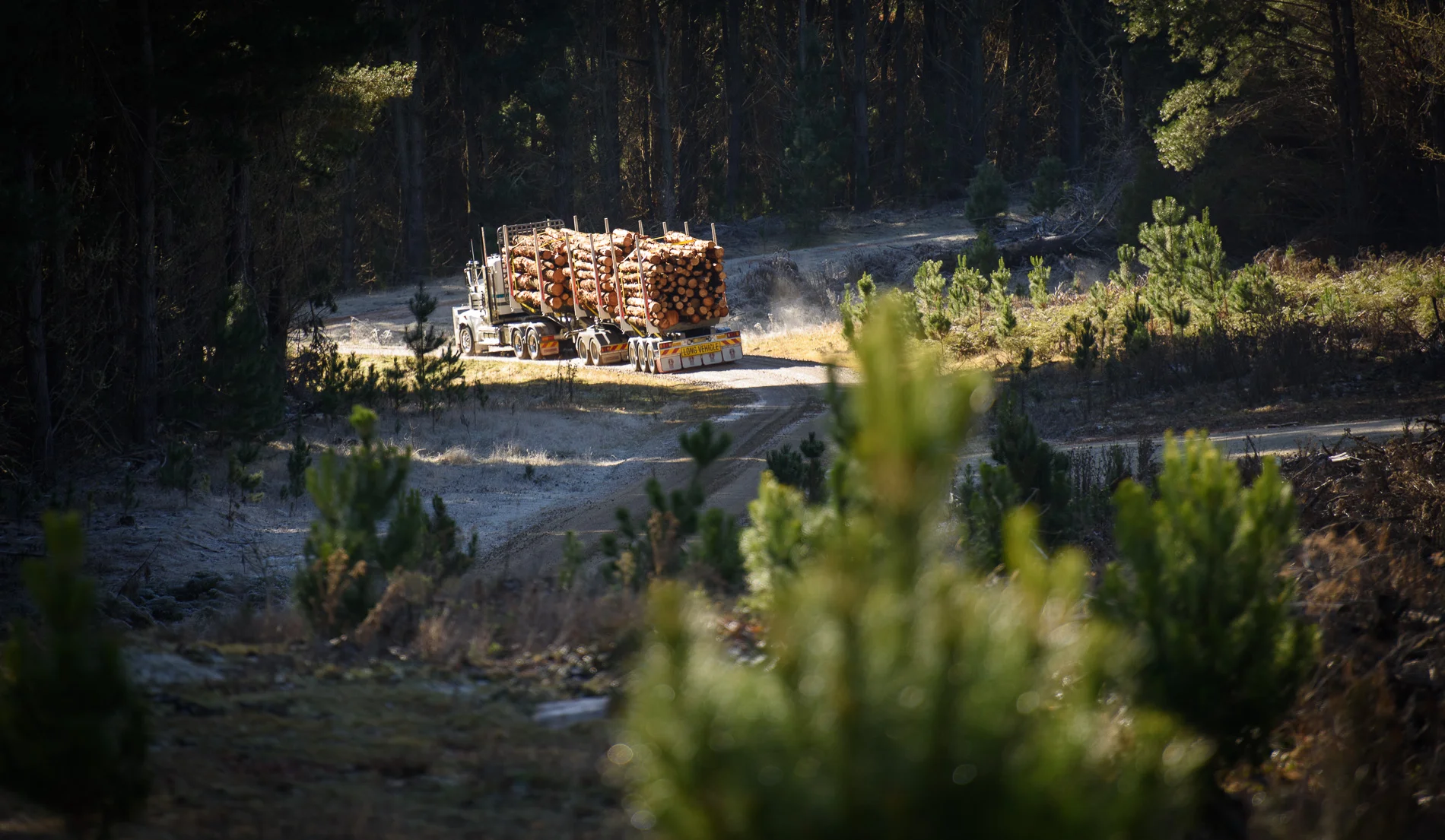 Monaro Logging - Near Tumut, NSW