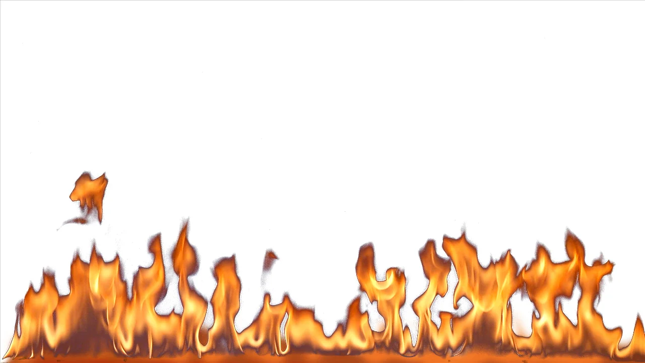 Charlie loop picture01 copy.jpg