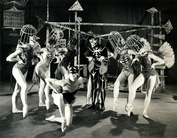 House of Birds 1955