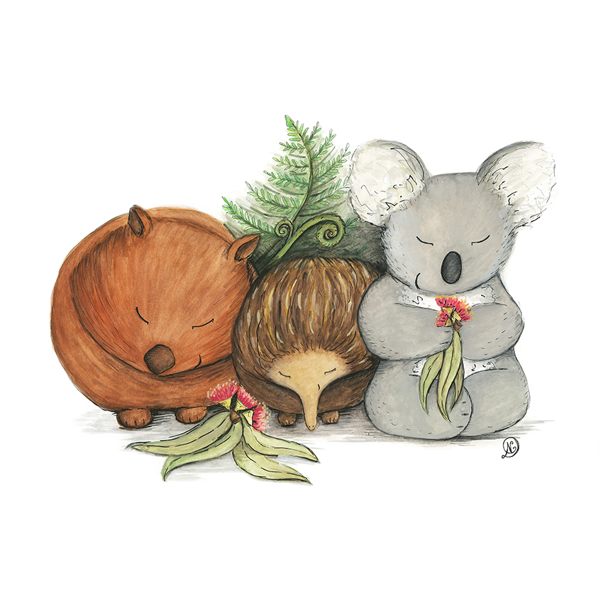 Native Australian Babies – With Koala, Wombat and Echidna — Squid Ink Art |  Prints, Greeting Cards, Growth Charts and Stationery Products