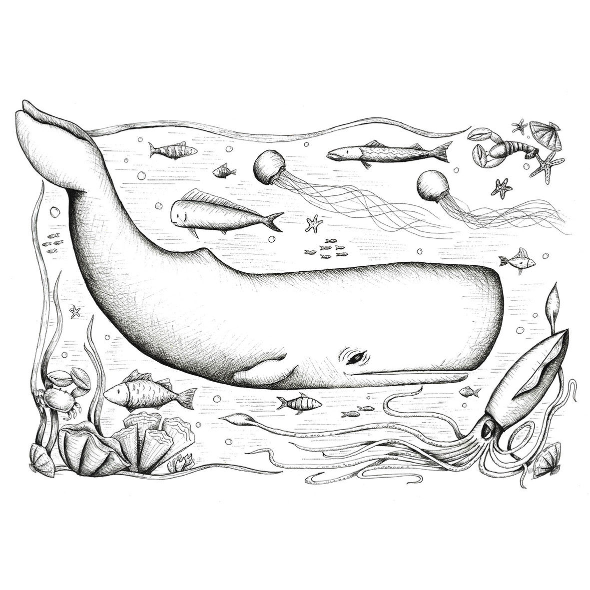 The Squid & The Sperm Whale black and white wall art print