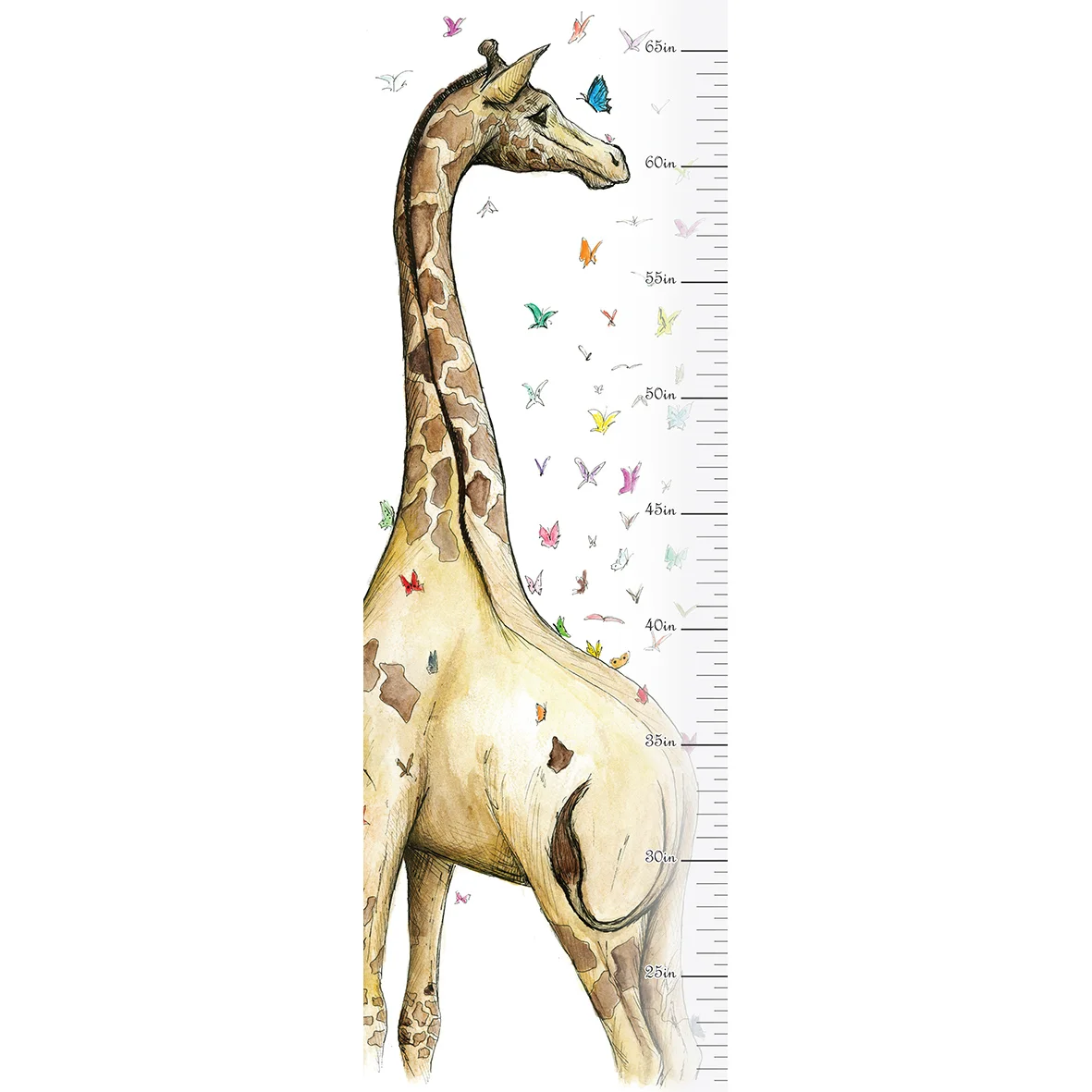 Young giraffe with butterflies growth and height chart