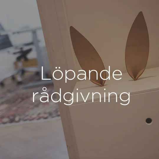 Löpande rådgivning Investor relations