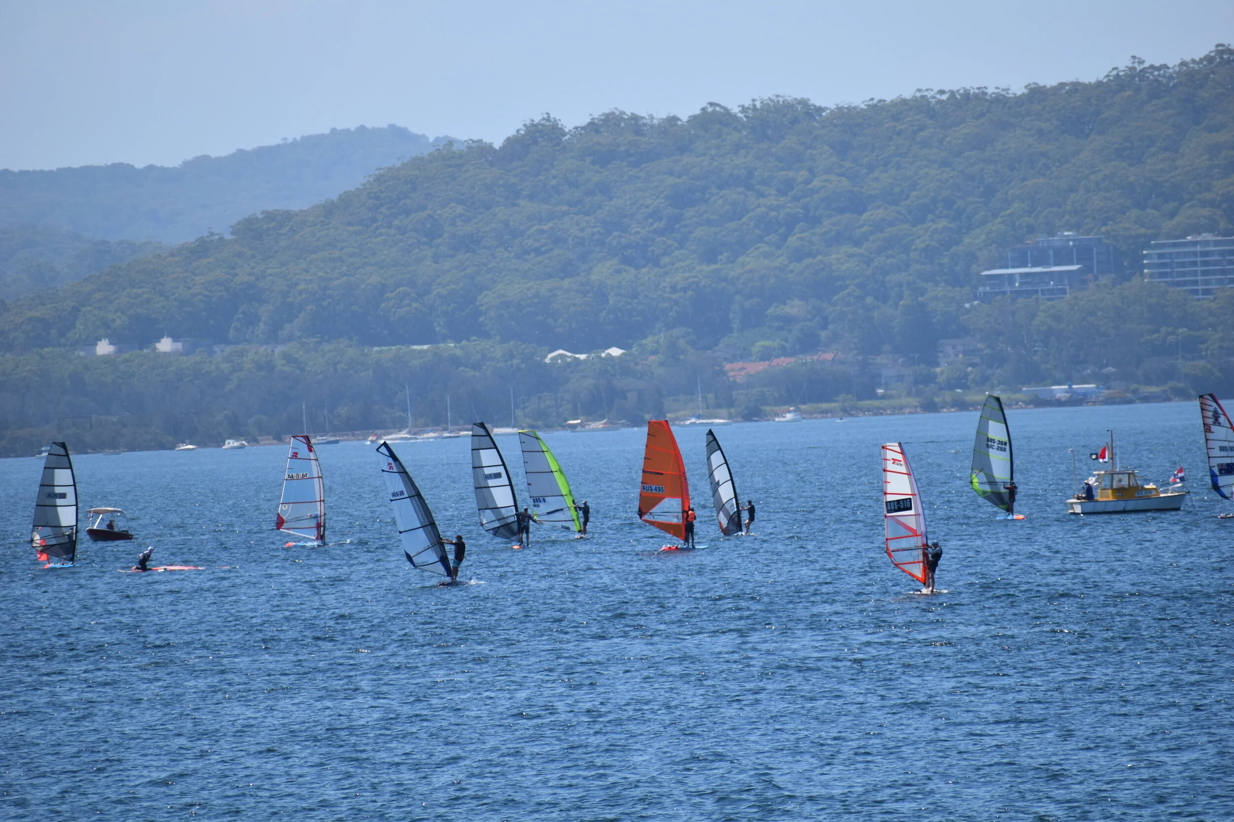 DSC_0430.JPG