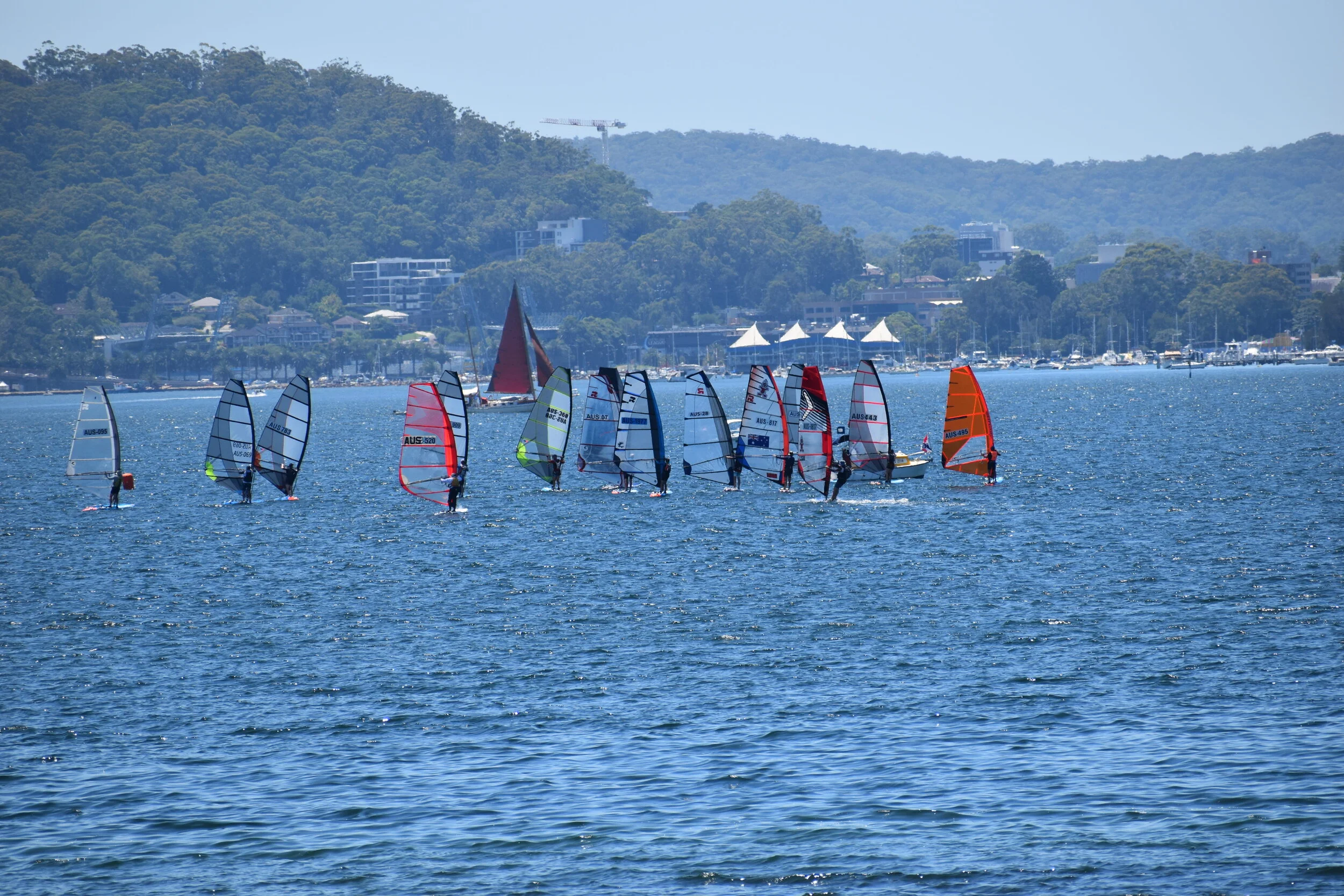 DSC_0660.JPG