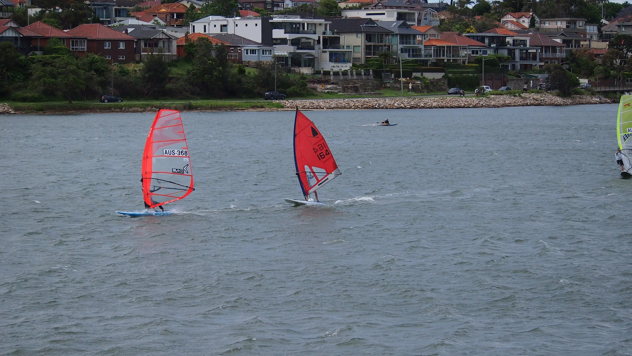 P1011885.JPG