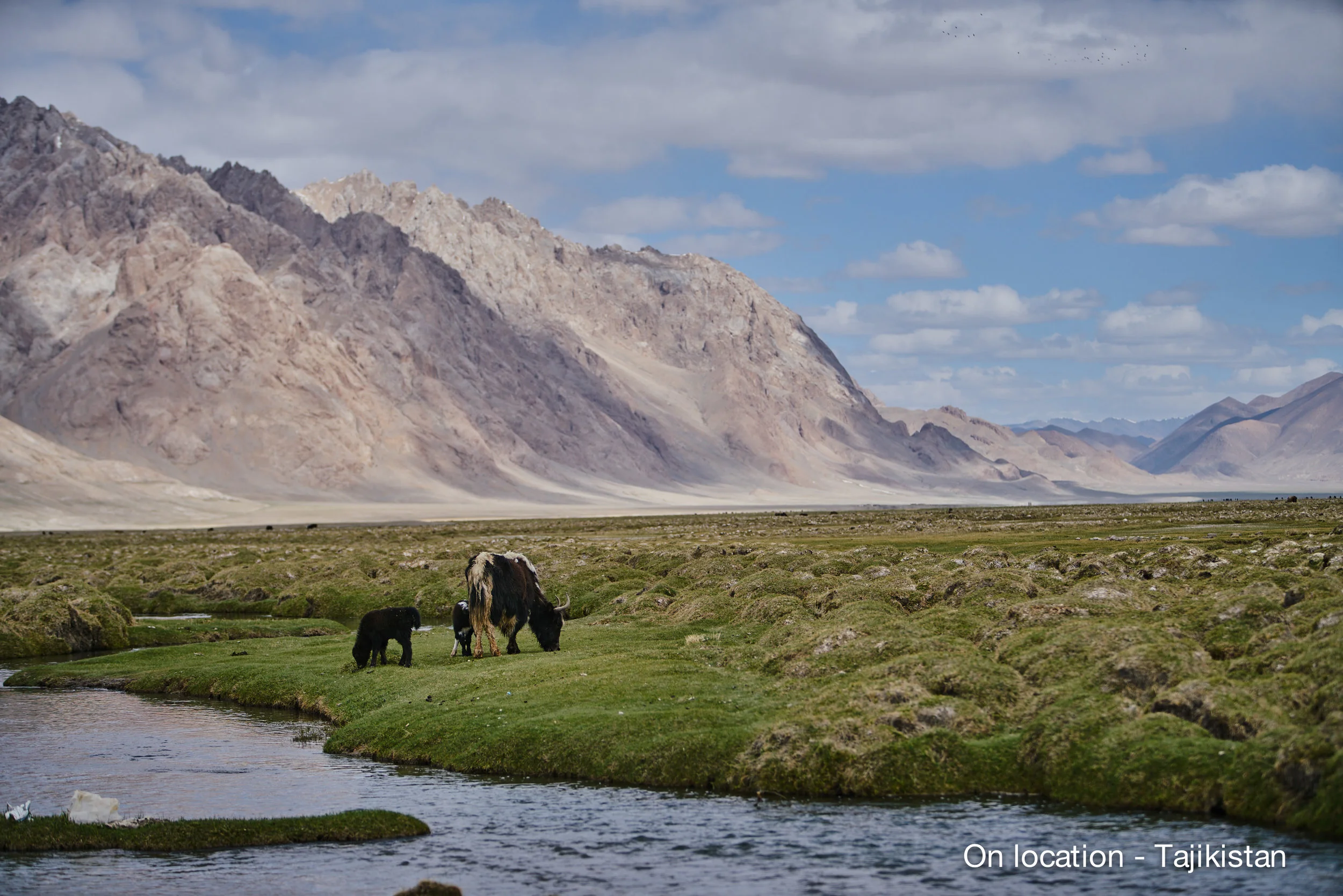 _DSC8086.jpg