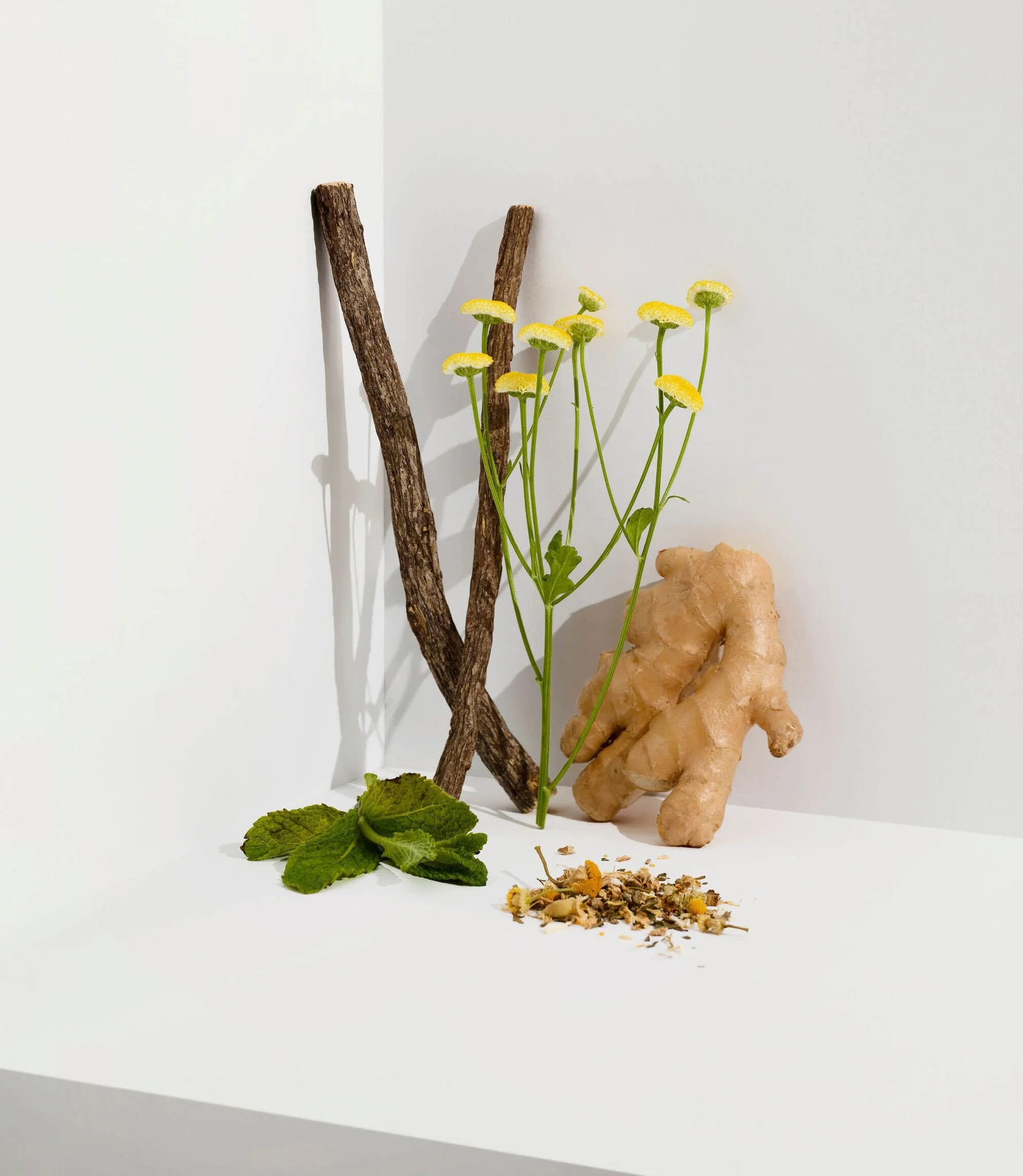 Cocoon_tea_artisans_ingredients_herbal_blend.jpg