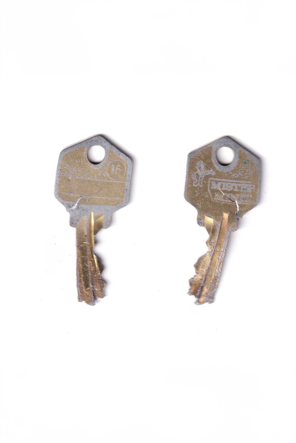 MISTER MINIT-Yellow1.jpg