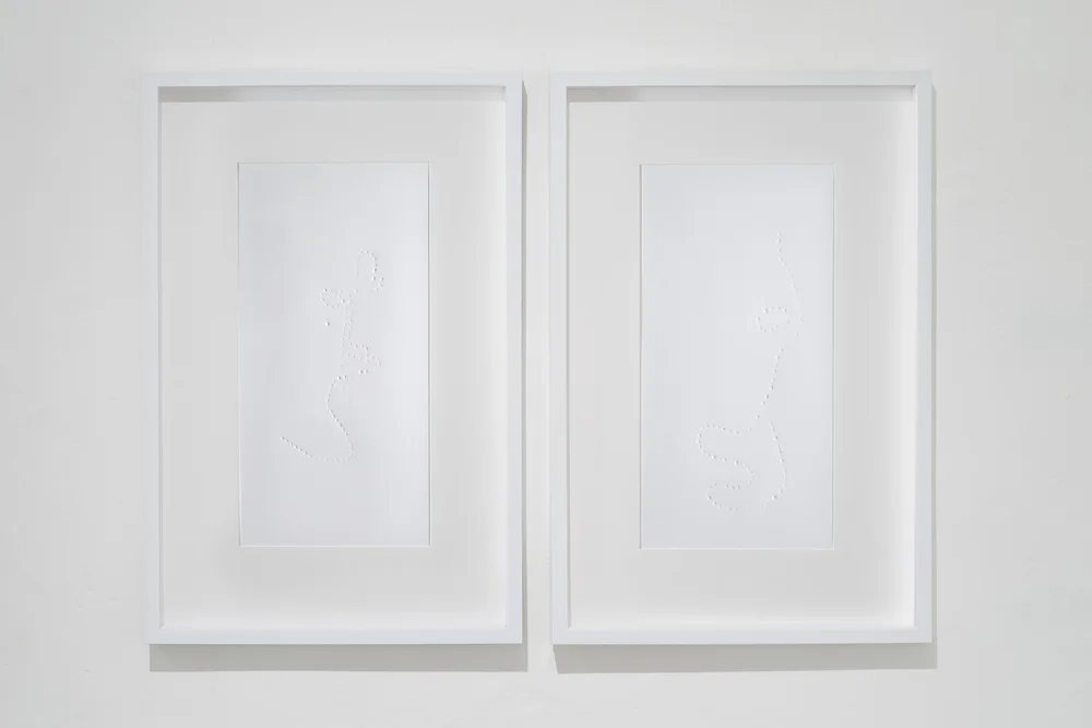 impressions (fa.Pearl) , Ana Omandichana, and Martaque, 2015 (paper), Galleria Continua, San Gimignano / Beijing / Les Moulins / Habana. Photo by: Ela Bialkowska.
