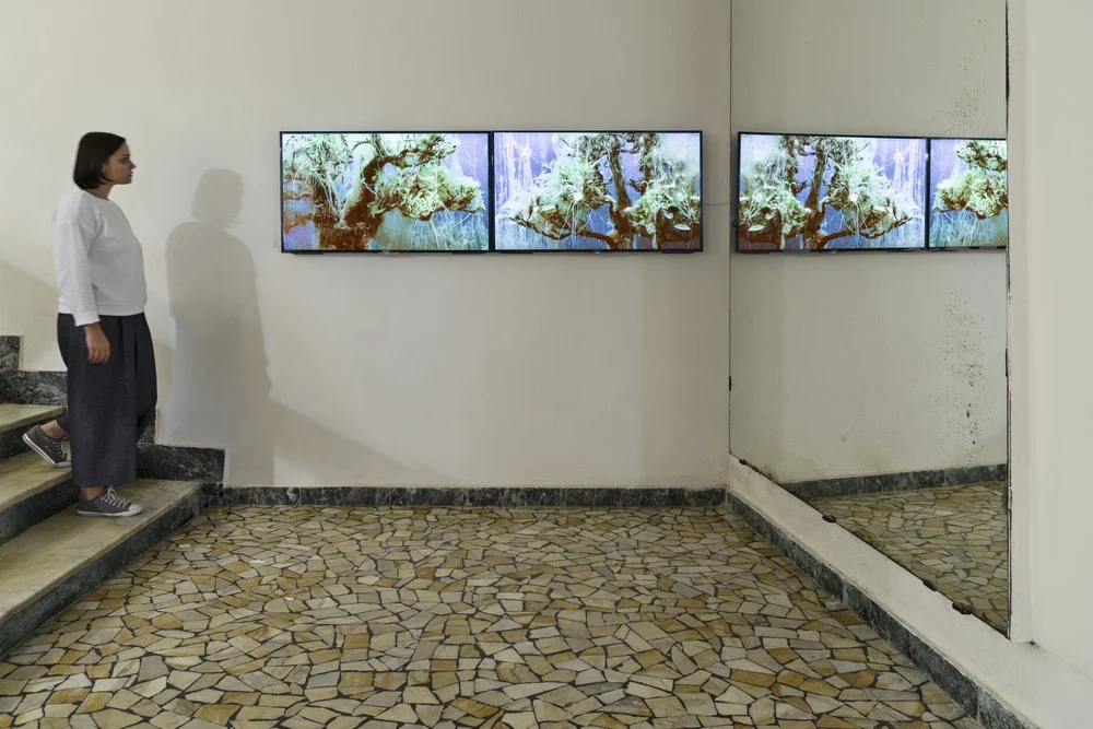 Drown.ke, pae and io,&nbsp;Steina Zooeydottir, and Bernard Leroy,&nbsp;video compositing: Alexis Destoop, and Devi Mallal,&nbsp;2015 (video, 2 screens), installation view, Galleria Continua,&nbsp;San Gimignano / Beijing / Les Moulins / Habana. Photo…