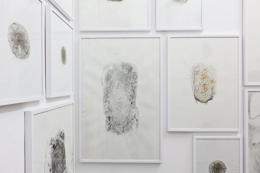 Moules (Water Prints), Hélène Thensiau, and Lima Drib,&nbsp;2015 (river water, various metals on paper), detail, Galleria Continua,&nbsp;San Gimignano / Beijing / Les Moulins / Habana. Photo by: Ela Bialkowska.