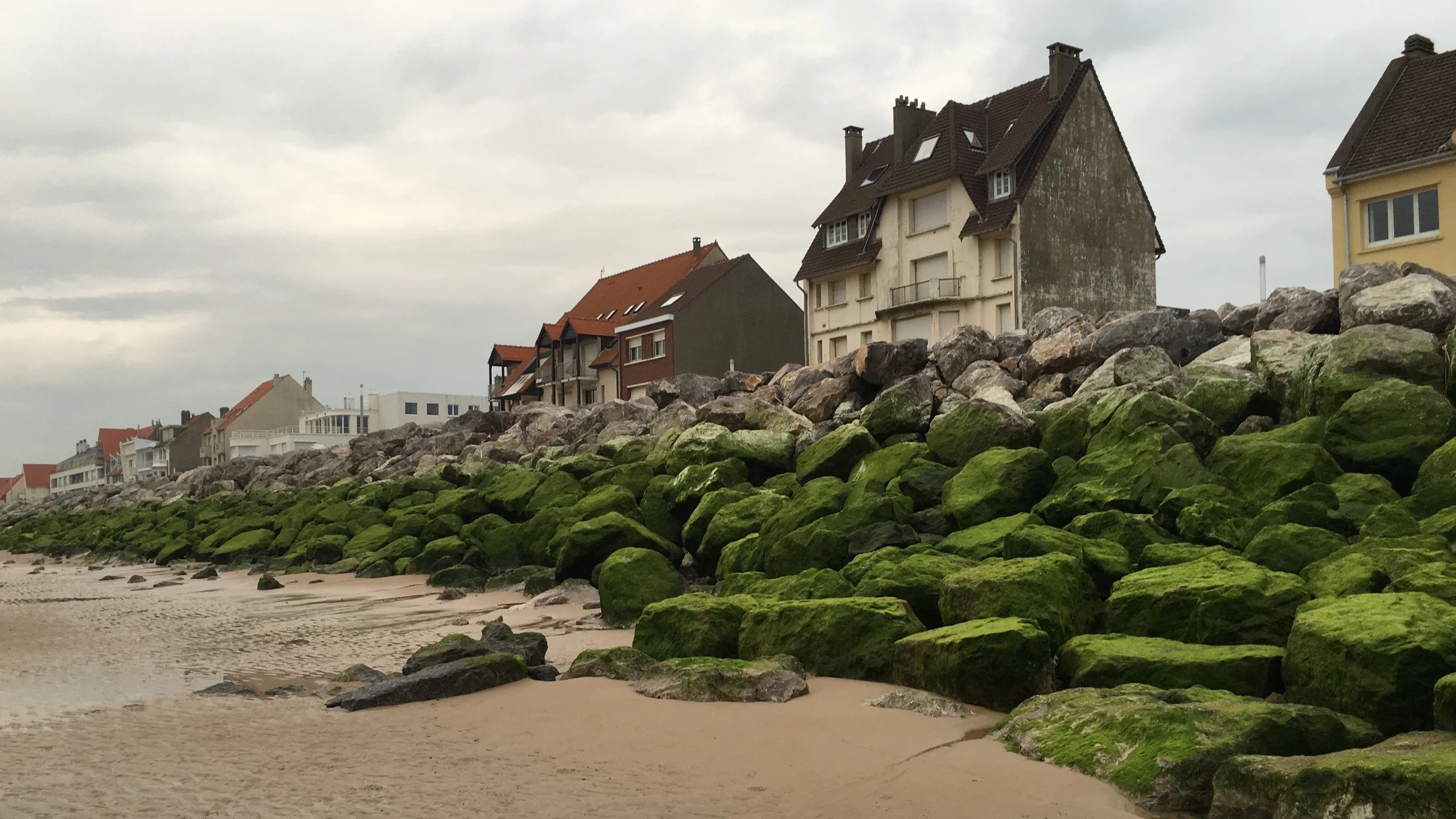 Boucalais.heyf (47)