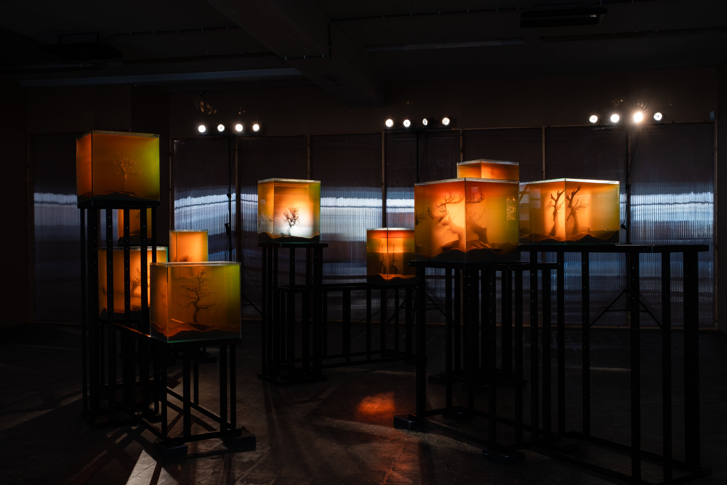 Various Artists, ‘toxiThropea.sunset’ (2019), in ‘Deadly Affairs’ (23.03-30.06.2019), Kunsthal Extra City, Antwerp, photo by Tomas Uyttendaele_1.jpg