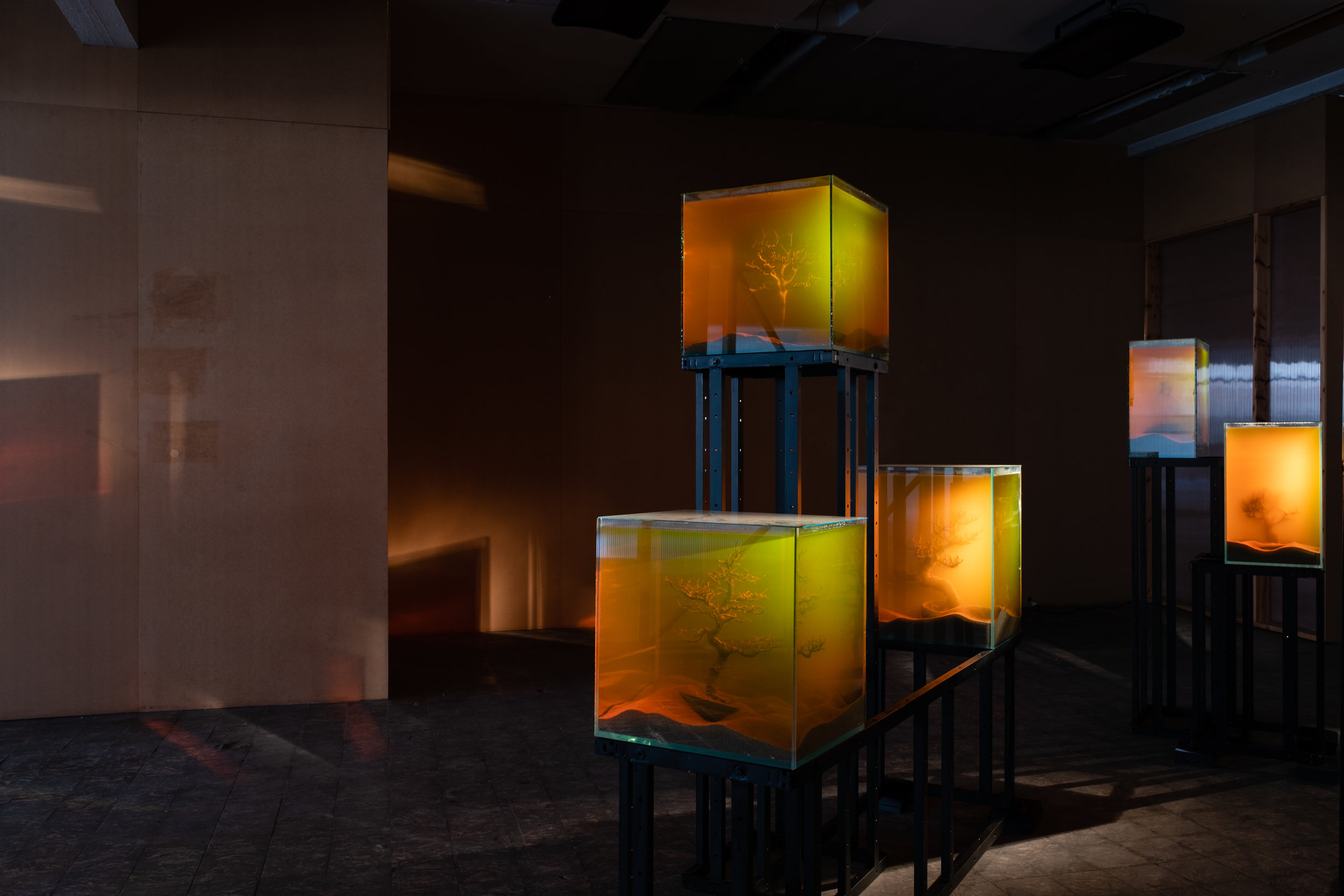 Various Artists, ‘toxiThropea.sunset’ (2019), in ‘Deadly Affairs’ (23.03-30.06.2019), Kunsthal Extra City, Antwerp, photo by Tomas Uyttendaele_2.jpg