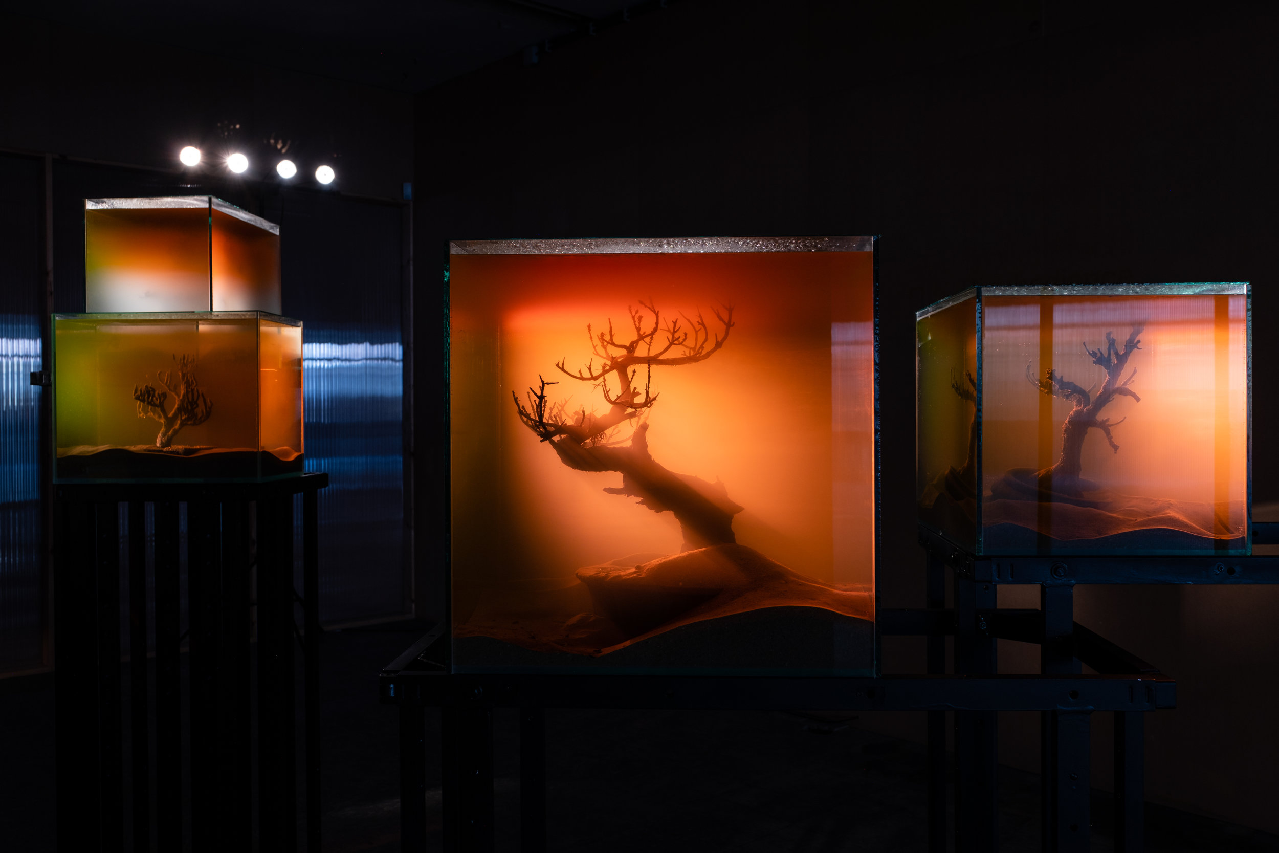 Various Artists, ‘toxiThropea.sunset’ (2019), in ‘Deadly Affairs’ (23.03-30.06.2019), Kunsthal Extra City, Antwerp, photo by Tomas Uyttendaele_4.jpg