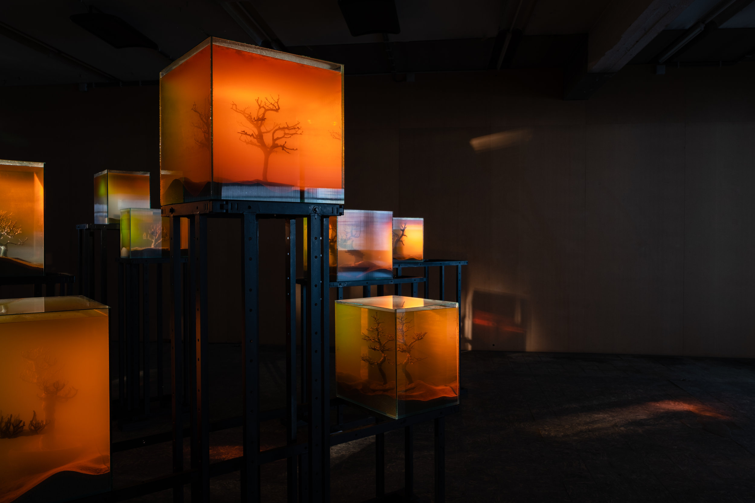 Various Artists, ‘toxiThropea.sunset’ (2019), in ‘Deadly Affairs’ (23.03-30.06.2019), Kunsthal Extra City, Antwerp, photo by Tomas Uyttendaele_12.jpg