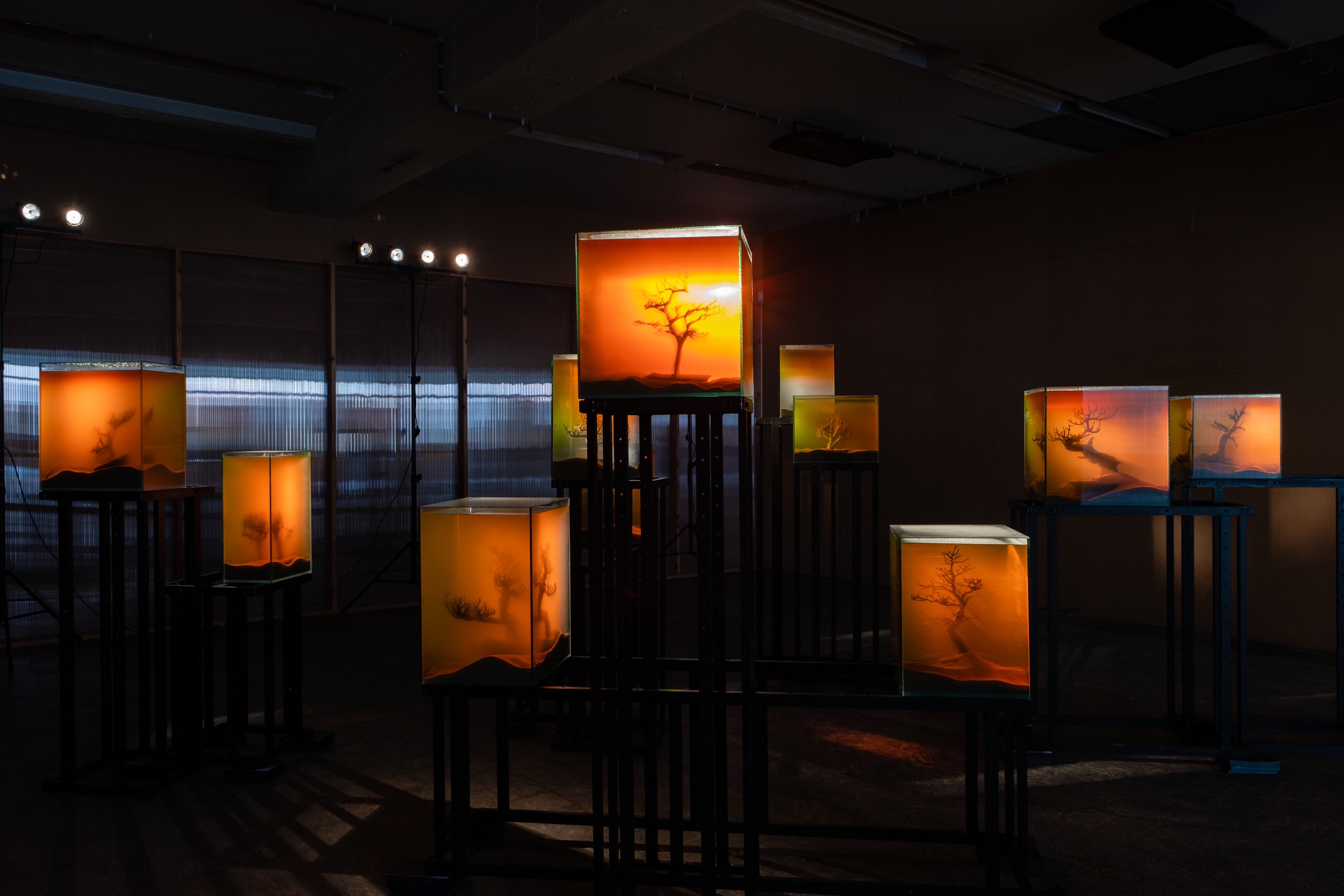 Various Artists, ‘toxiThropea.sunset’ (2019), in ‘Deadly Affairs’ (23.03-30.06.2019), Kunsthal Extra City, Antwerp, photo by Tomas Uyttendaele_11.jpg