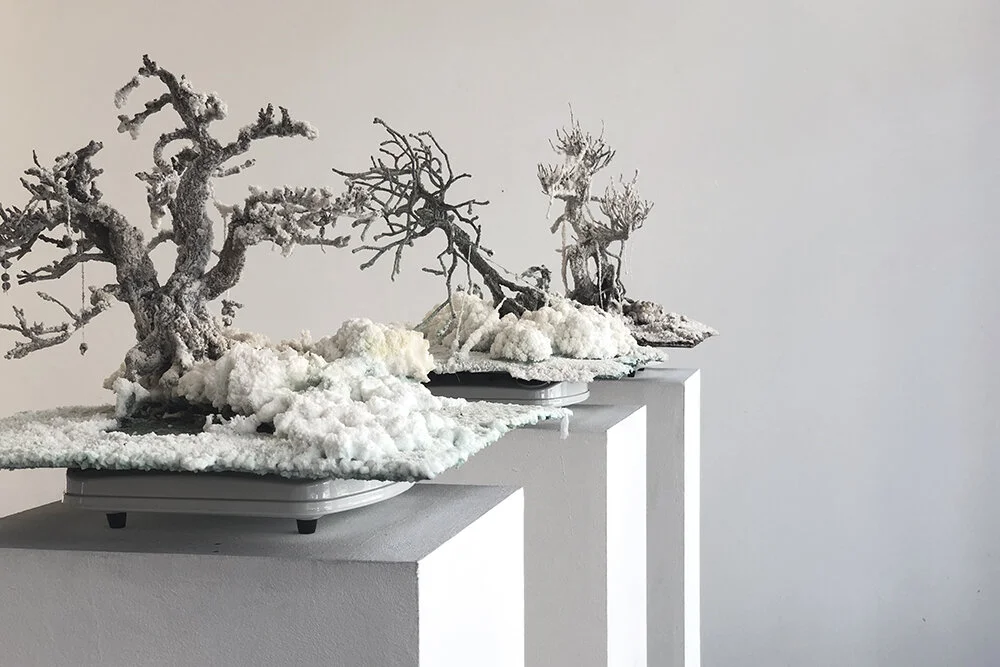 Various Artists (BLFHTH), Salinas, Água com Gás, Brussels, 2019, bonsai, salt, copperplate and electrical cookers.