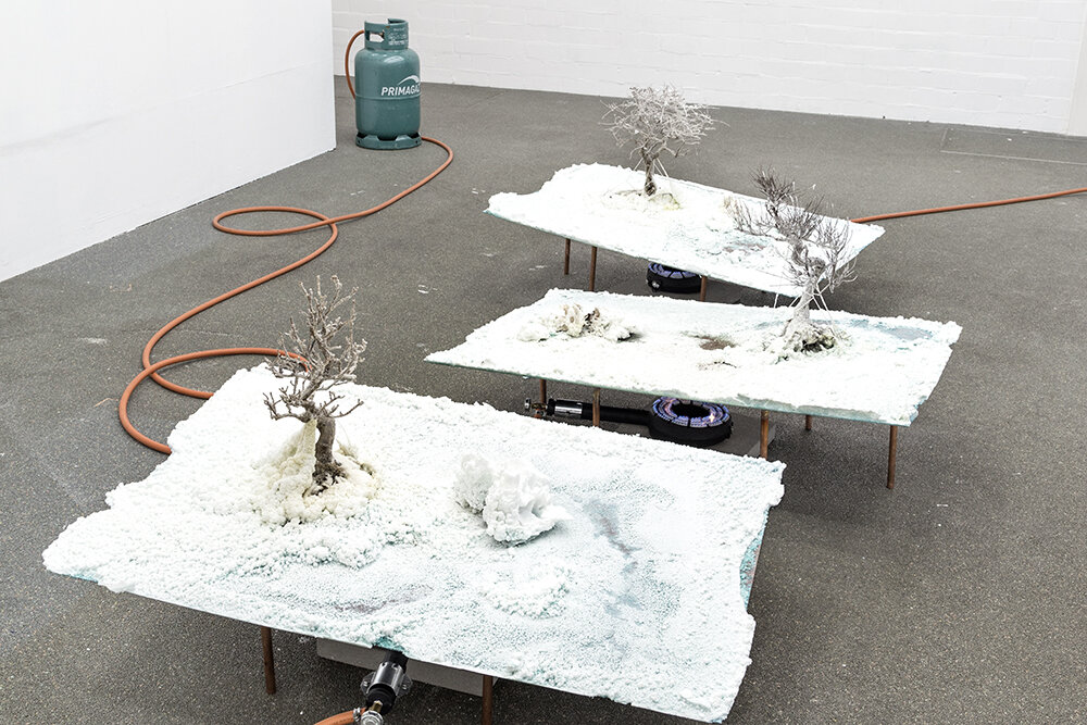 Various Artists (BLFHTH), Salinas, Água com Gás, Rotterdam, 2018, bonsai, salt, copperplate and gas cookers.