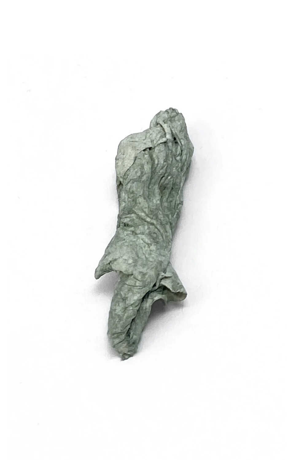 chewed3.jpg