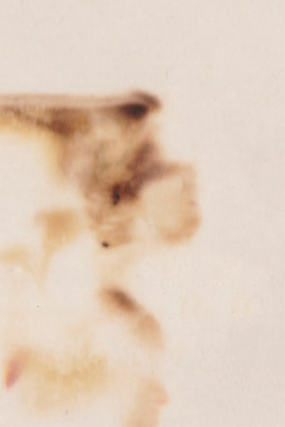 burn-detail.jpg