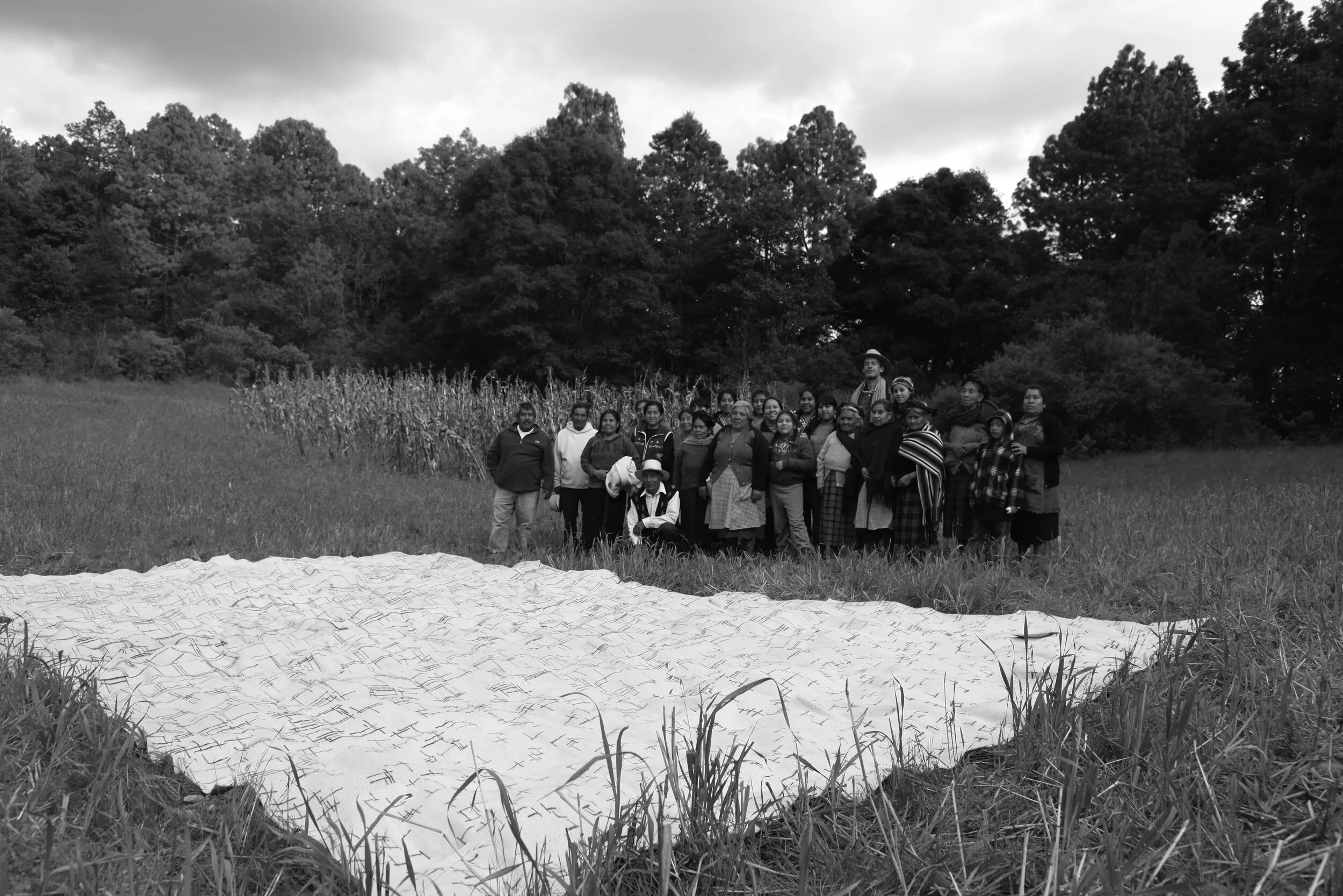Weavers association Vida Nueva and family, Teotitlan del Vale, 2014