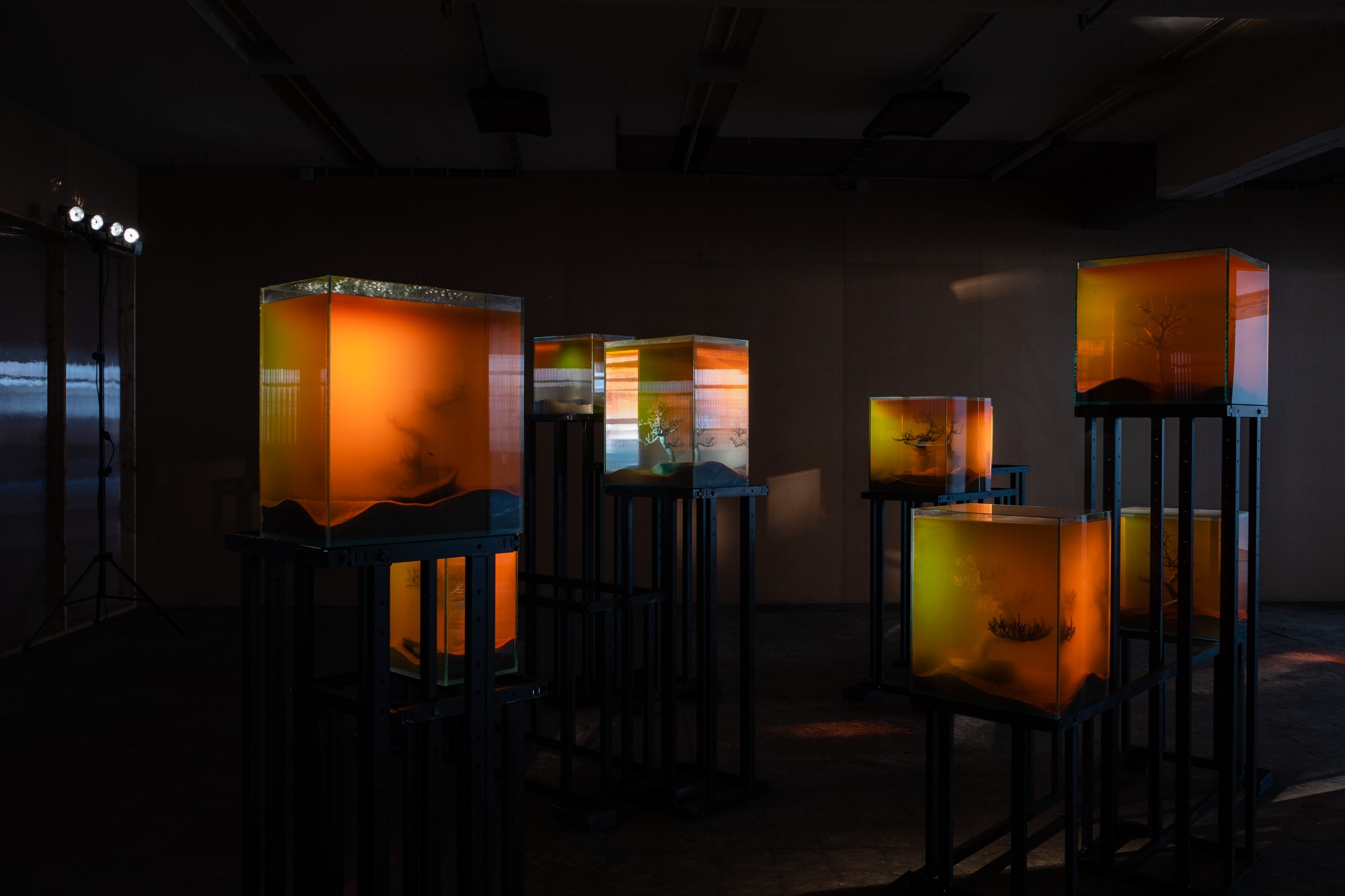 Various Artists, ‘toxiThropea.sunset’ (2019), in ‘Deadly Affairs’ (23.03-30.06.2019), Kunsthal Extra City, Antwerp, photo by Tomas Uyttendaele_6.jpg